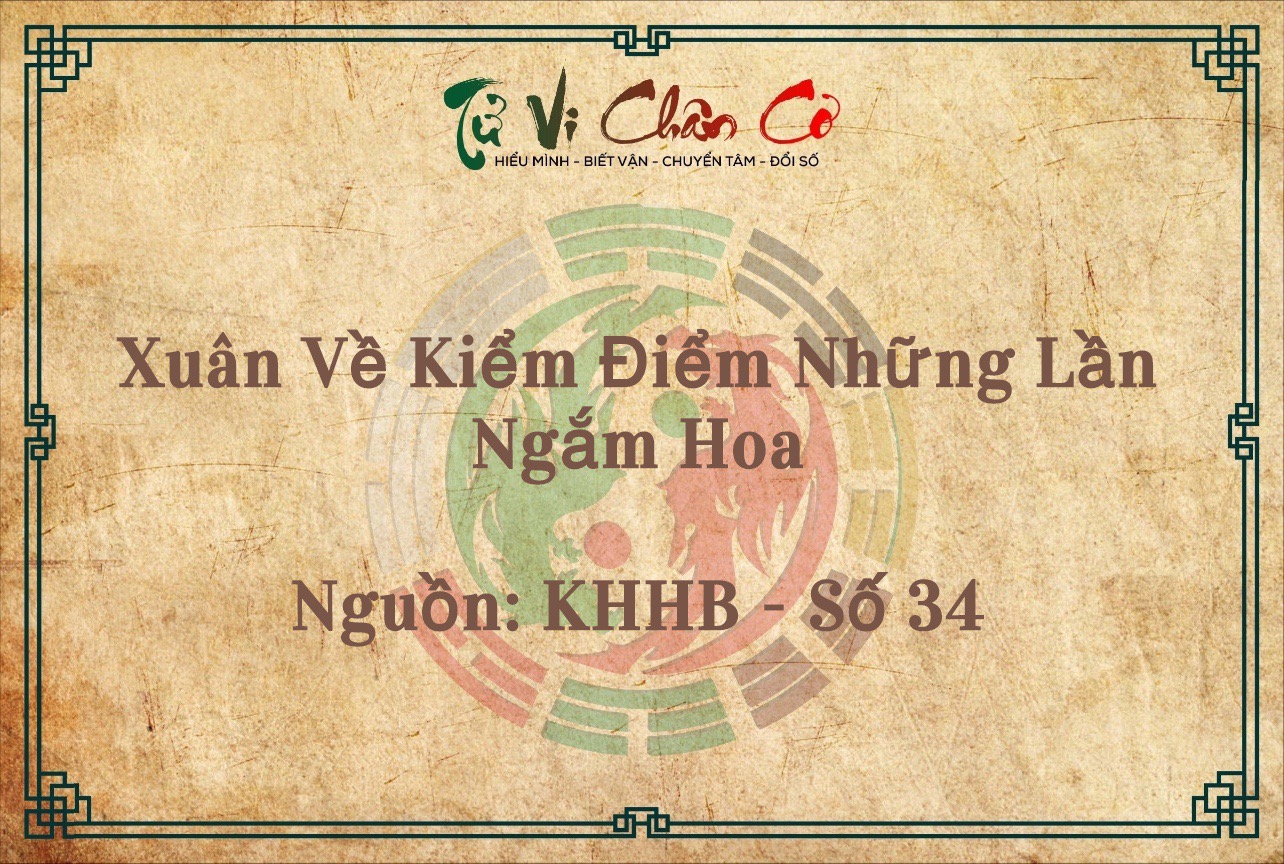 Xuân Về Kiểm Điểm Những Lần Ngắm Hoa