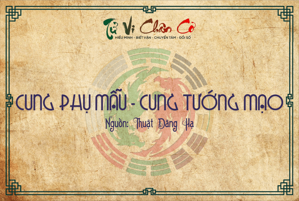 Cung Phụ Mẫu - Cung Tướng Mạo