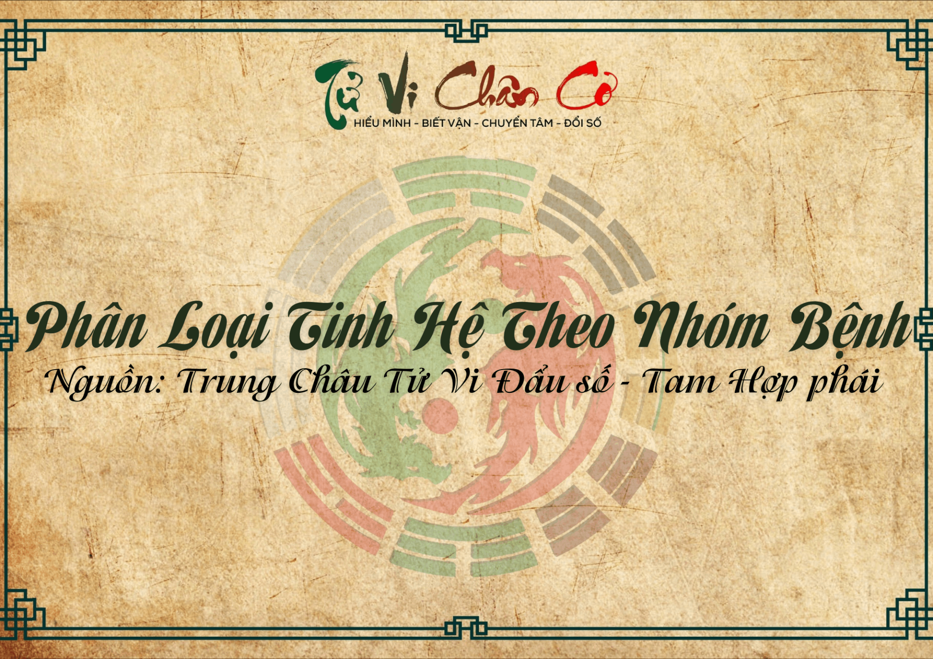 Phân Loại Tinh Hệ Theo Nhóm Bệnh